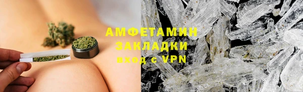 дмт Ельня
