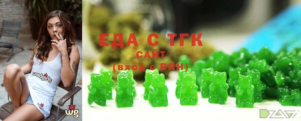 дмт Ельня