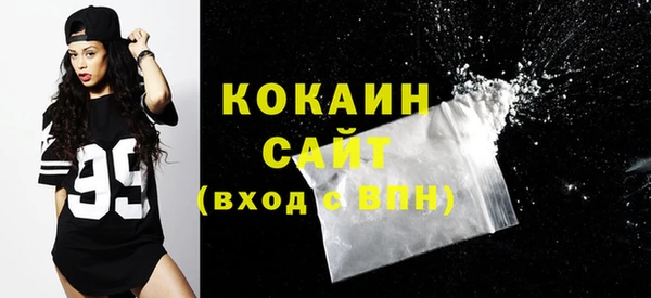 дмт Ельня