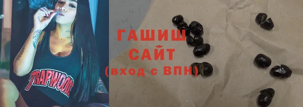 дмт Ельня