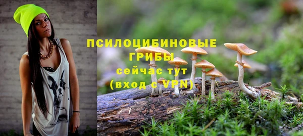 скорость mdpv Елабуга