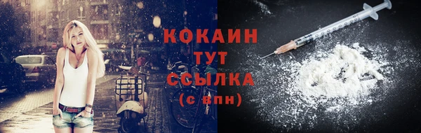 дмт Ельня