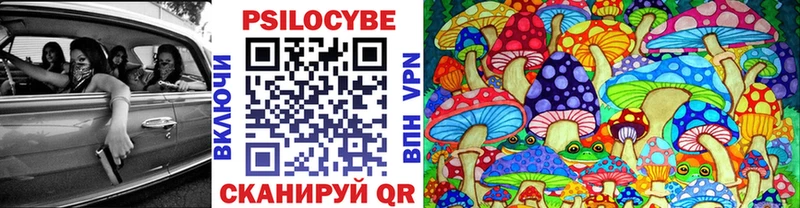 наркошоп  Судогда  Псилоцибиновые грибы прущие грибы 